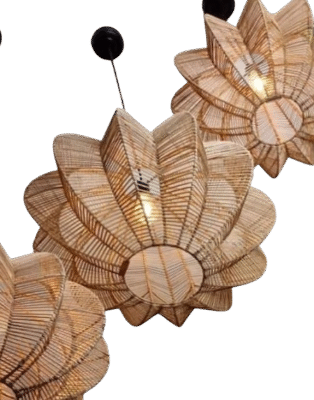 Carambola