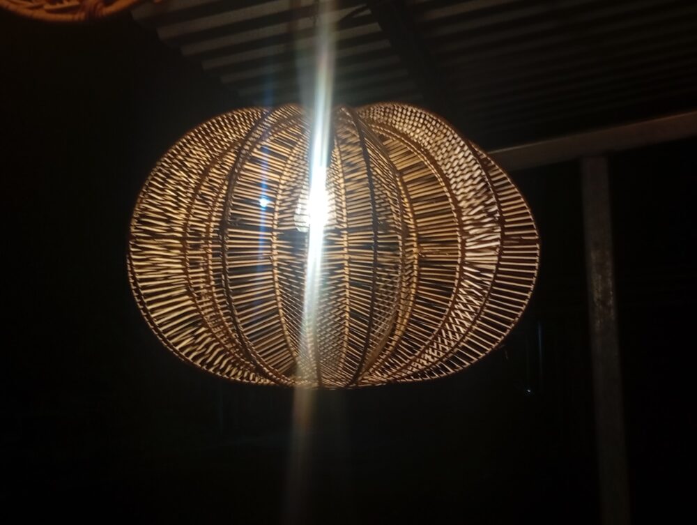 Carambola - Imagen 3